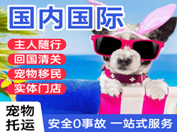 张家口机场托运国际宠物托运 【国